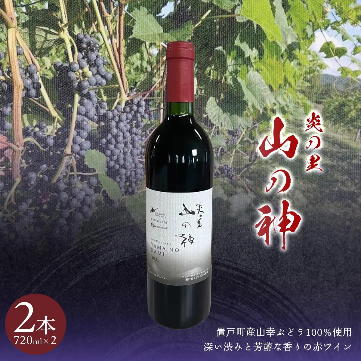 山の神 赤ワイン 2本OTI002