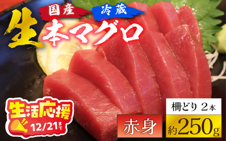生活応援！【冷蔵・指定日着可】生本マグロ赤身 約250g 2～3人前 [A-066003_pr] / 生活応援 国産 まぐろ 鮪 さく 柵どり 冷蔵 真空パック ヘルシー 2人前 3人前 新鮮 刺身 丼