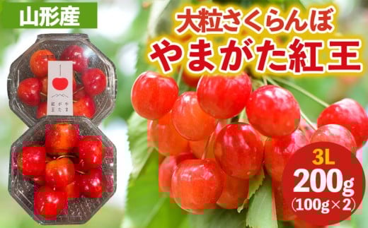 大粒のさくらんぼ やまがた紅王 3Lサイズ 200g (100g×2パック入り) 【令和8年産先行予約】FS25-038