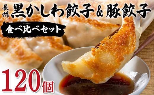 長州黒かしわ餃子＆豚餃子 食べ比べセット 120個入り 手作り 生餃子 餃子 国産野菜  冷凍 化学調味料不使用 化学調味料無添加 らいちの餃子 黒かしわ 長州黒かしわ F6L-956