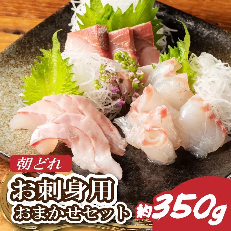 刺し身 2～3種 約350ｇ おまかせ 刺し身