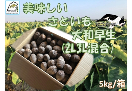 阿賀野市産 さといも 「ファームホリコシ皮付き里芋」 サイズ混合 5kg 野菜 里芋 新潟県 3H02014