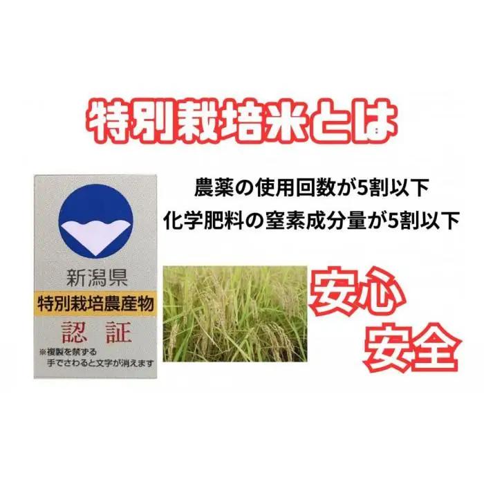 【令和8年産・新米予約・定期便】安心安全の新潟県南魚沼産特別栽培米コシヒカリ　2kg×６か月　新潟県認証【定期便 銘柄米 ブランド米 精米 こしひかり コシヒカリ】【2026年10月上旬より1ヶ月以内