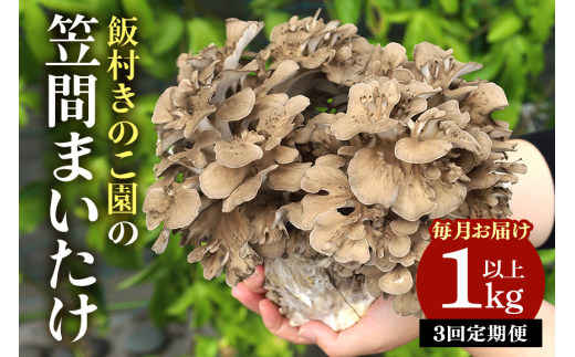 毎月【3回定期便 】飯村きのこ園の笠間まいたけ(1kg以上)