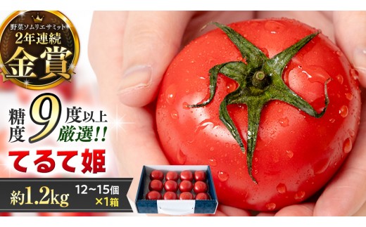
                  《 2027年 収穫分 》 スーパーフルーツトマト てるて姫 中箱 約1.2kg × 1箱 【12〜15玉/1箱】 糖度9度以上 定期便 先行予約 フルーツトマト ブランドトマト 野菜 ギフト 贈答 青空レストラン アド街ック天国 グッドモーニング 黄金のワンスプーン 昼めし旅 選べる配送月 2月 3月 4月 5月 6月 [BC033sa00]
                