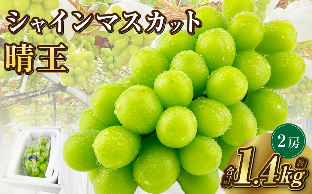 
            岡山県産 シャインマスカット 晴王 2房 約1.4kg【2025年9月上旬-10月下旬 発送予定】｜種無し 皮ごと食べる 旬の美味しさ フレッシュ 先行予約 ハレノフルーツ
          
