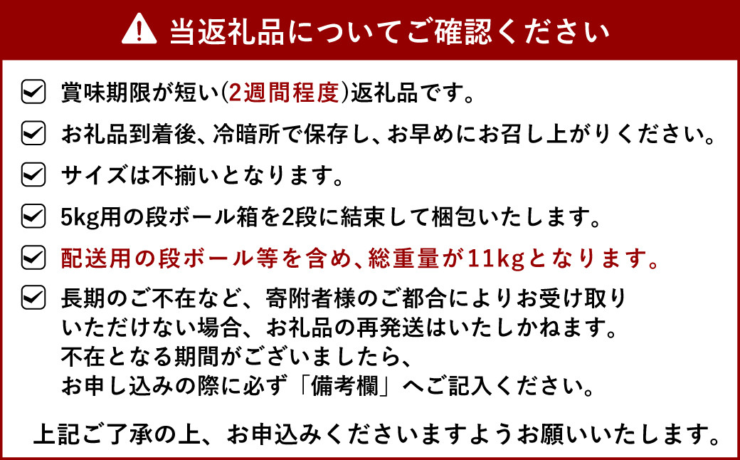 宇城市産 デコみかん 約11kg 不知火 形不揃い 柑橘 フルーツ