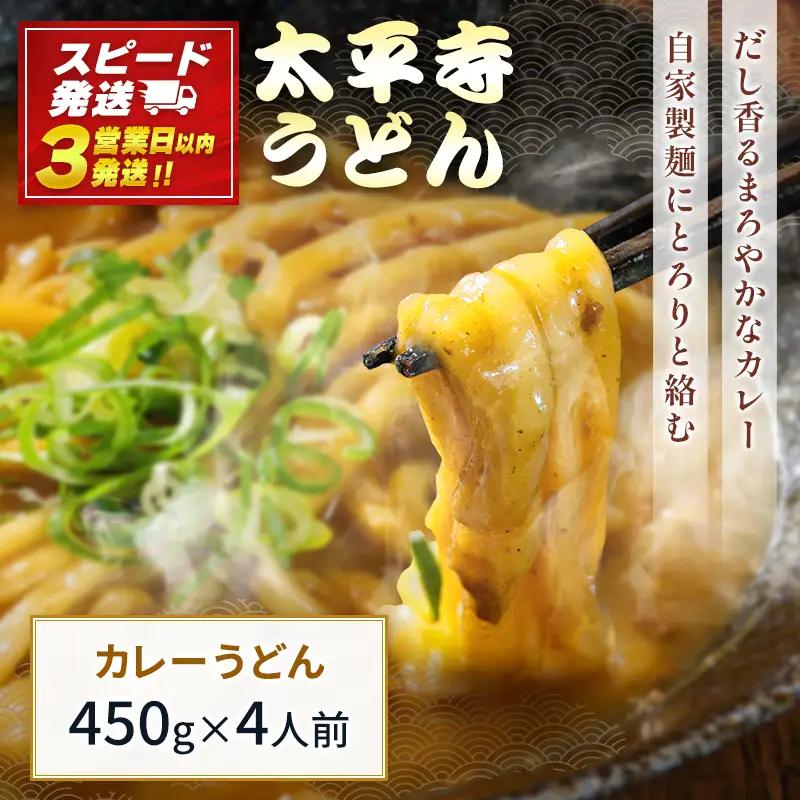 【3営業日以内発送!!】カレーうどん カレー 冷凍 天然だし 自家製麺 つゆ付き 簡単調理