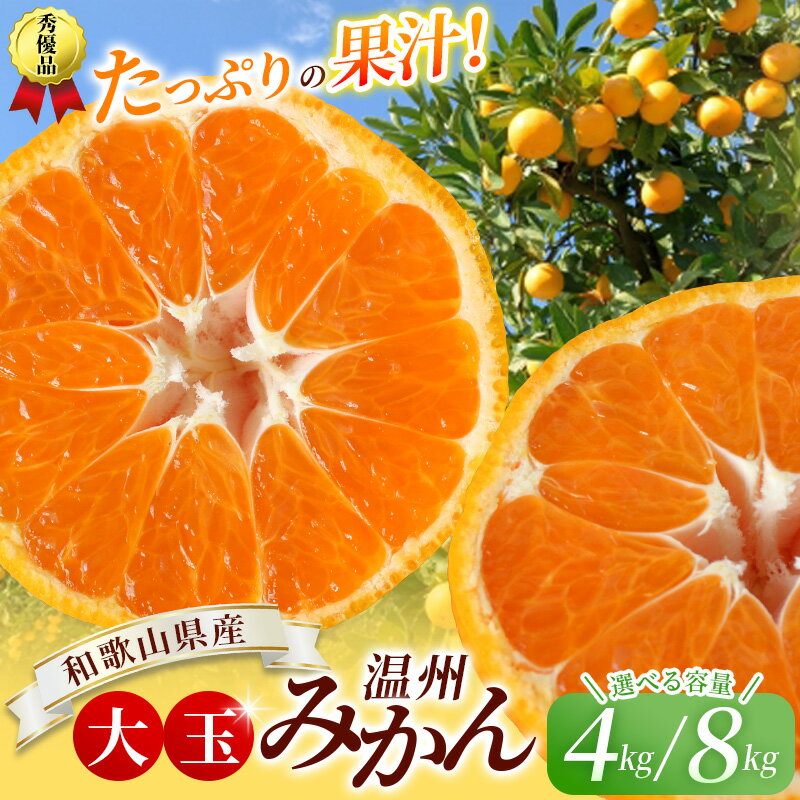 【ふるさと納税】 新登場！ 大玉 温州 みかん 4kg～8kg ※秀優混合【2L～3Lサイズ】【2025年12月から2026年2月下旬頃に順次発送】＜味好農園＞/ 温州 蜜柑 みかん 柑橘 果物 フルーツ ミカン 訳あり