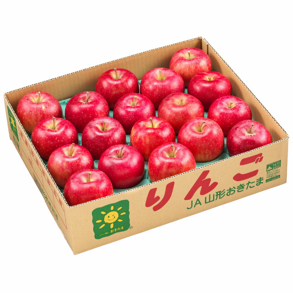 【ふるさと納税】【訳あり品】りんご（サンふじ・〇秀）約5kg（14玉～23玉）リンゴ 林檎 果物 くだもの フルーツ 山形県産 送料無料【2025年11月下旬～12月上旬発送予定】