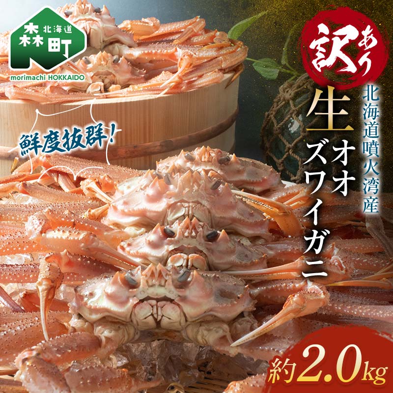 【ふるさと納税】【訳あり】 生オオズワイガニ 約2.0kg ＜海鮮問屋　株式会社　瑞宝＞ 不揃い 傷 ずわいがに かに ズワイ カニ 蟹 ガニ がに 海鮮 mr1-1159