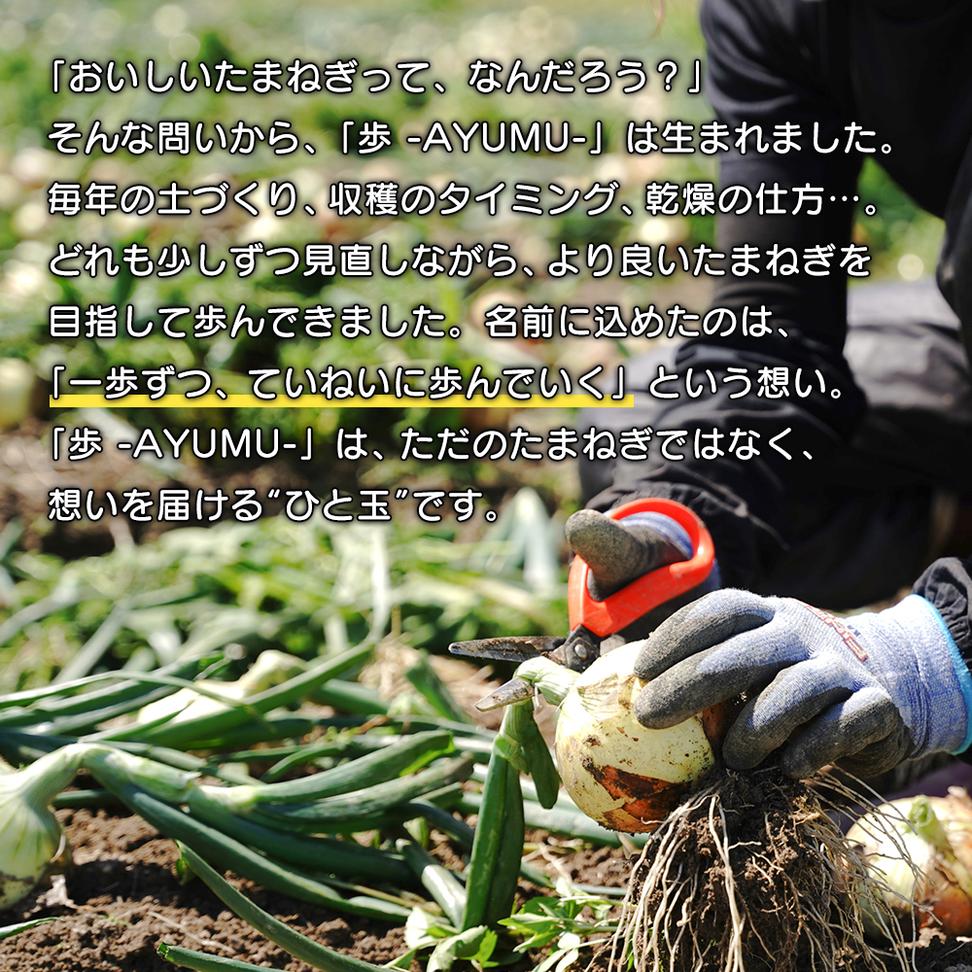 【新たまねぎ】淡路島たまねぎ 歩-AYUMU- 10kg【発送時期：2025