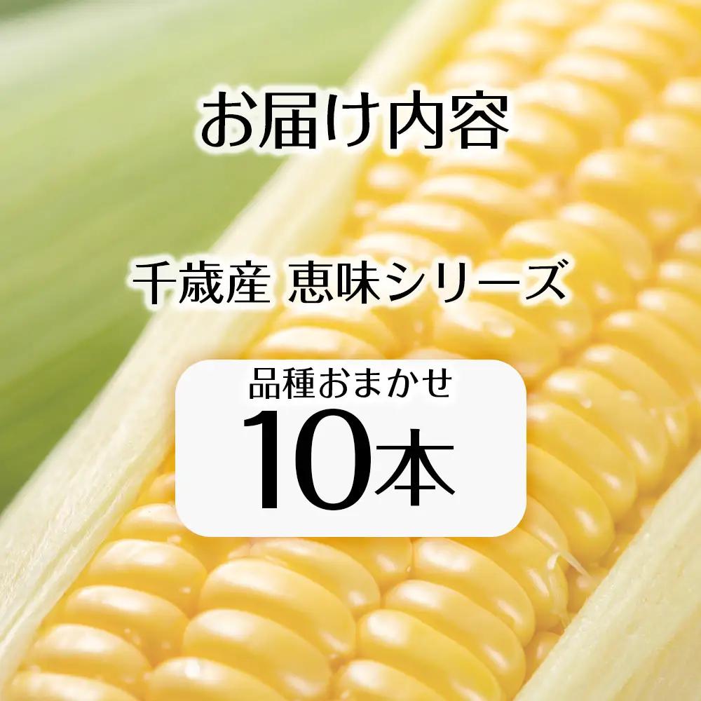 【先行予約】北海道 千歳産 とうもろこし 1本430ｇ以上 10本 恵味シリーズの中からおまかせで1種類  ＜ふぁーむあんざわ＞