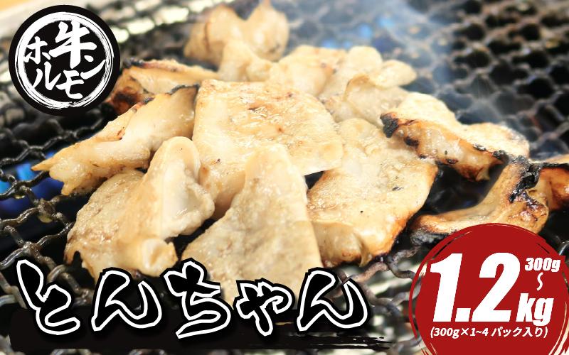 
            ホルモン 牛肉 小腸 選べる 容量 300g 600g 1.2kg とんちゃん 焼き肉 牛ホルモン 焼肉 ホルモン焼き モツ鍋 もつ鍋 ホルモン 鍋 鍋セット ご飯 米 ビール お酒 おかず ご飯のお供 ご飯が進む
          