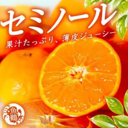 ジューシー柑橘　セミノールオレンジ　5kg【配送不可地域：離島】【1745644】