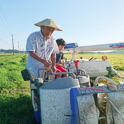 ふるさと納税 香取市 千葉県香取市産100%コシヒカリ30kg(5kg×6袋) |  | 01