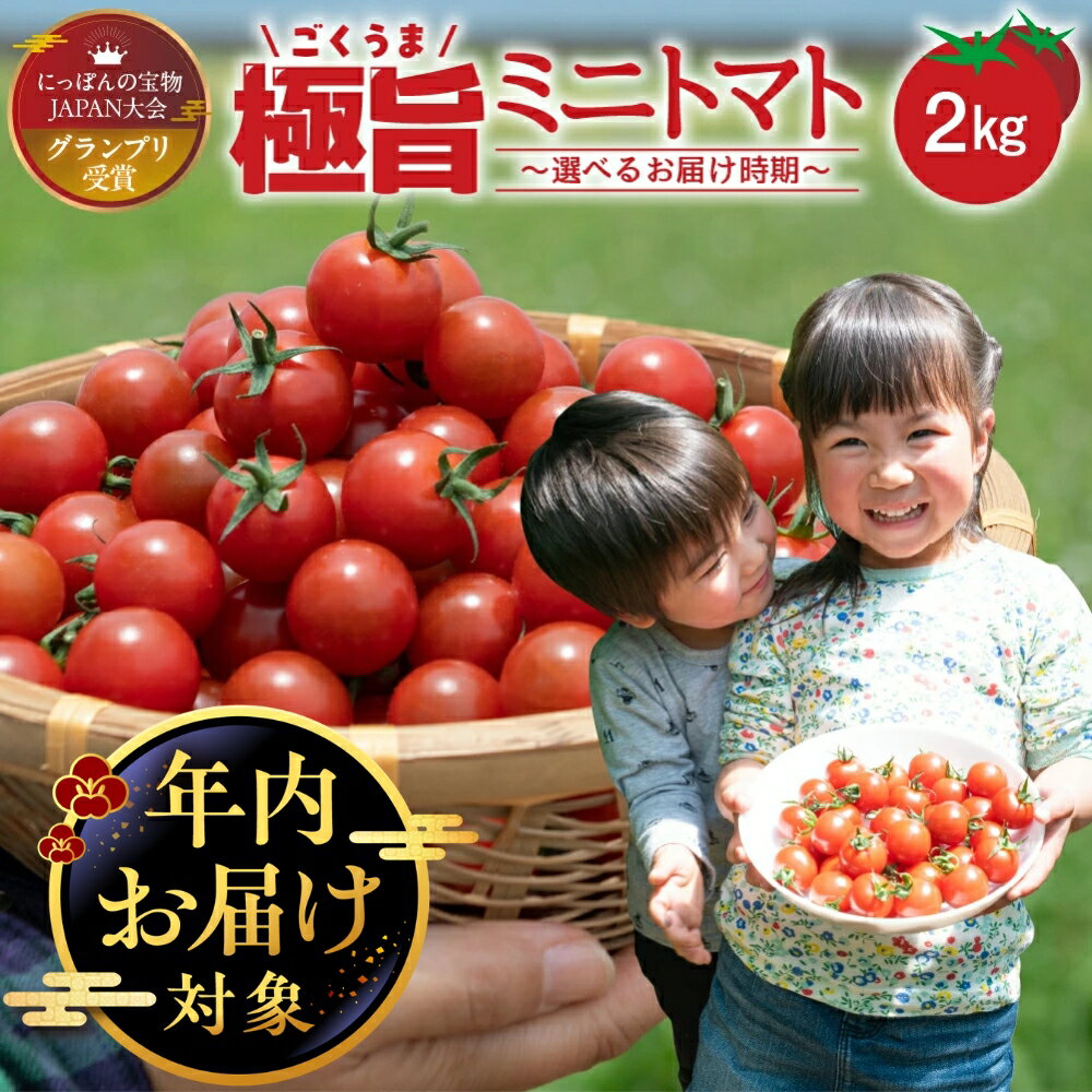 【ふるさと納税】《年内にお届け》グランプリ受賞 極旨 ミニトマト 2kg だしの出るトマト 新鮮 完熟 トマト 出汁推し実 フルーツトマト 季節限定 完熟 健康 トマト 濃厚 薄皮 お取り寄せ 入手困難 幻 プチ 先行予約 産地直送 冷蔵 送料無料