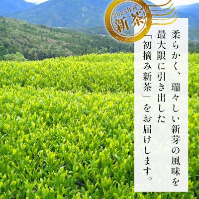 ふるさと納税 東白川村 【2025年産新茶】初摘み新茶 50g 煎茶 東白川村産 美濃白川茶 茶葉 |  | 01