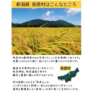 新潟県弥彦村石井農園　令和7年産 こしいぶき【玄米 10kg】【1713680】