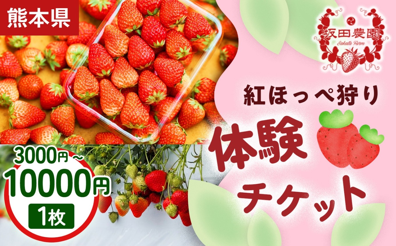
                  【家族・カップルにおすすめ！】熊本・玉名市のいちご狩り体験 3,000円, 4,000円, 5,000円, 8,000円, 10,000円から選べる割引券 | いちご狩り フルーツ狩り チケット 体験 体験チケット イベントチケット 自然体験 観光体験 贈答用 プレゼント 体験ギフト 熊本県 玉名市
                