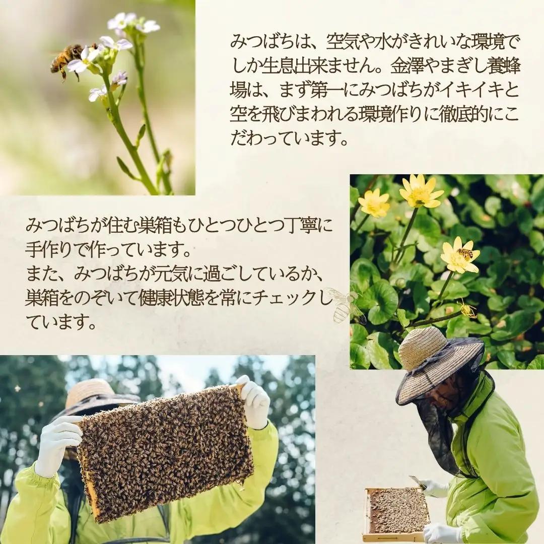 国産はちみつ 70g×3種類 食べ比べ セット 蜂蜜 はちみつ 石川県 小松市