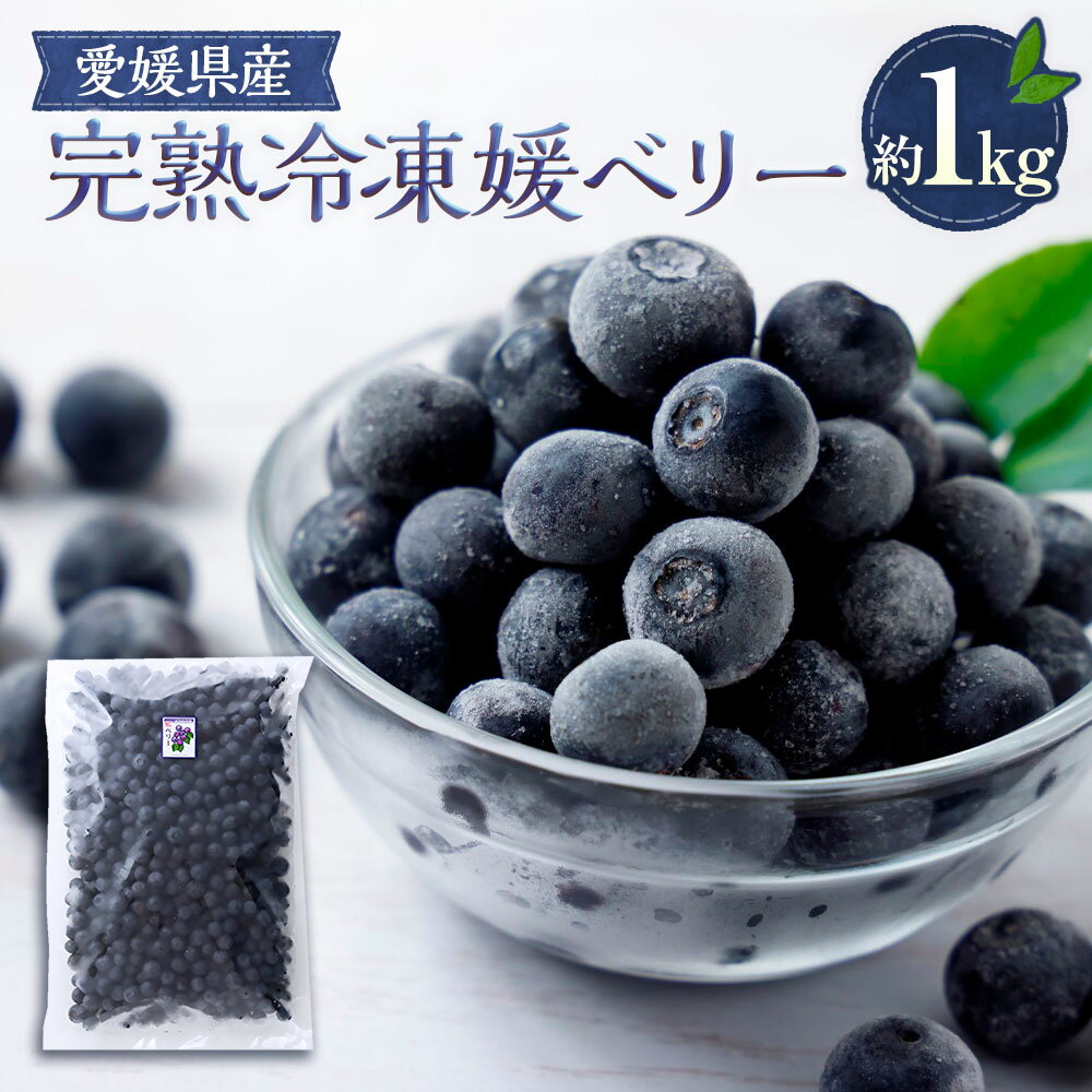 【ふるさと納税】完熟 冷凍 媛ベリー 約1kg ブルーベリー ベリー フルーツ 果物 冷凍フルーツ おやつ デザート アレンジ スムージー ジュース ヨーグルト ジャム 国産 愛媛 愛媛県 送料無料（894）
