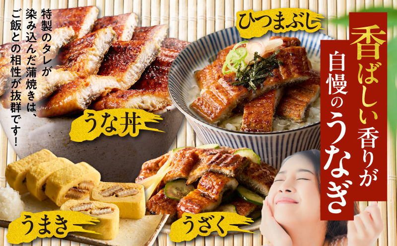 うなぎ 蒲焼き 暴れ盛り 合計 600g【鰻 真空パック 簡単調理 訳あり サイズ不揃い 人気 惣菜 うな重 うな丼 ひつまぶし にも】 G3615