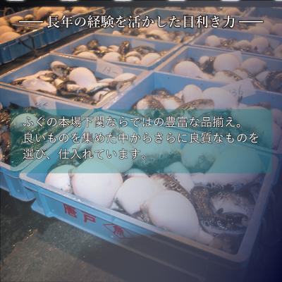 ふるさと納税 下関市 国産とらふく刺し身セット 約3人前 冷蔵 AQ116 |  | 01