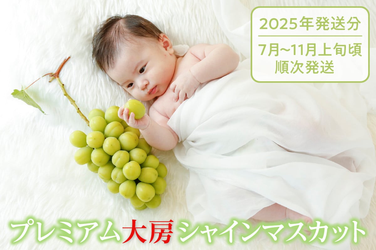 「マルエス農園」プレミアム大房シャインマスカット１房800g以上