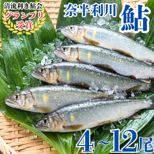 【ふるさと納税】奈半利川の友釣り天然アユ（冷凍） 【選べる】 （4・6・9・12尾) 利き鮎グランプリ受賞 釣り 鮎 あゆ 奈半利川 アウトドア 清流めぐり利き鮎会 SPグランプリ受賞 /高知県 奈半利町