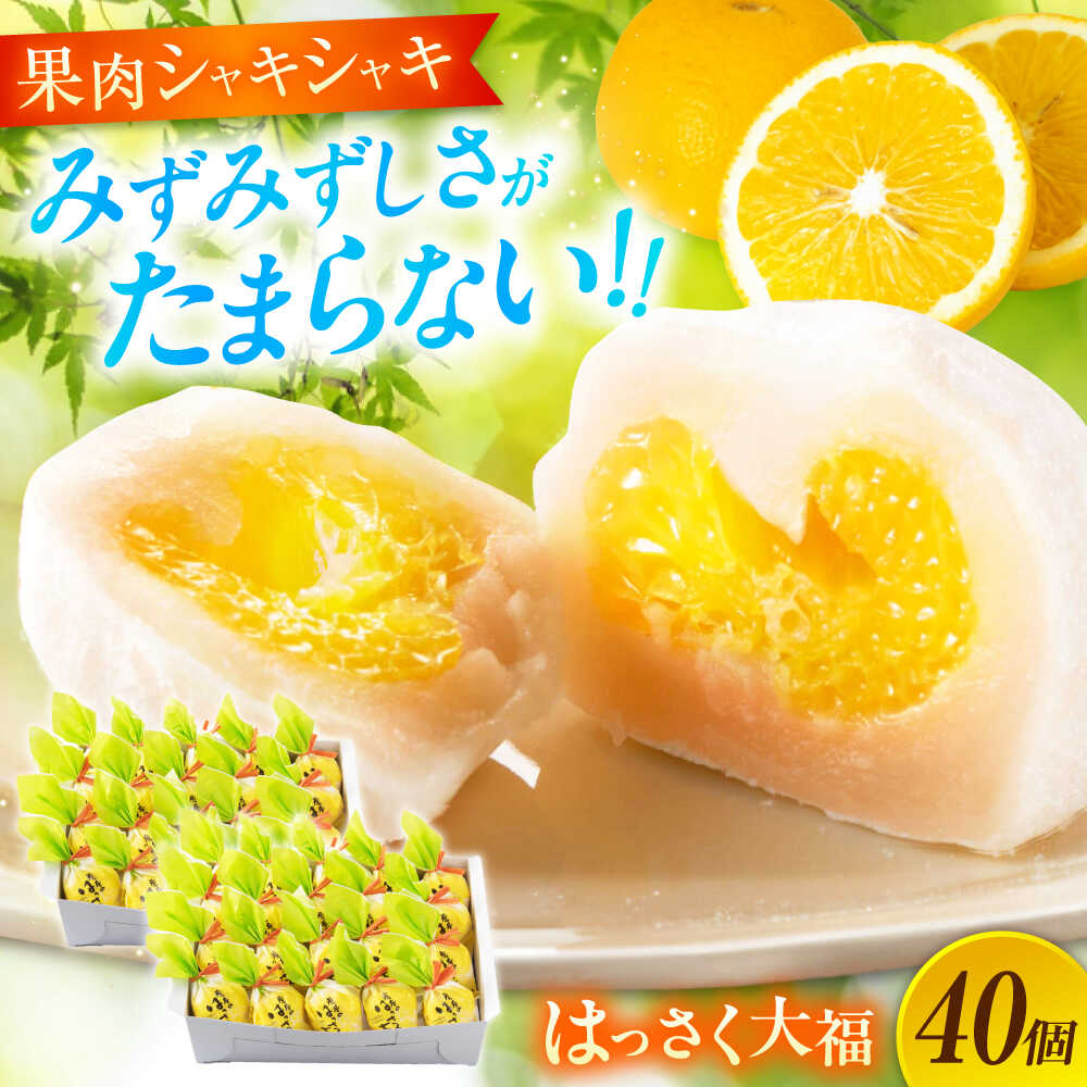 【ふるさと納税】お菓子 はっさく大福 20個入×2　 お菓子 大福 八朔 柑橘 みかん オレンジ はっさく 餅 ギフト お取り寄せ スイーツ フルーツ大福 ご当地 菓子 おかし デザート 食品 人気 おすすめ 広島県福山市/株式会社虎屋本舗[BADH033]