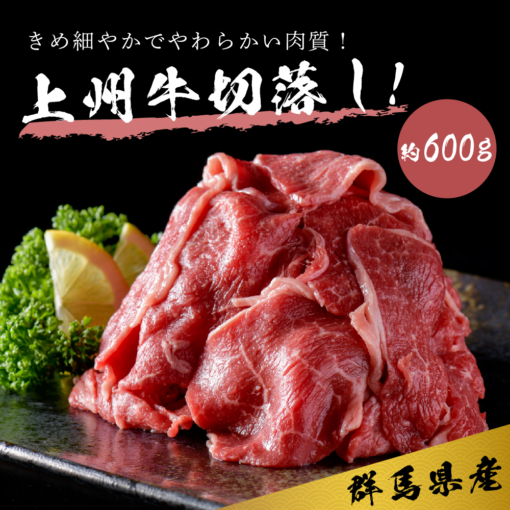 牛肉 切り落とし 【上州牛】 600g 群馬県 産 千代田町