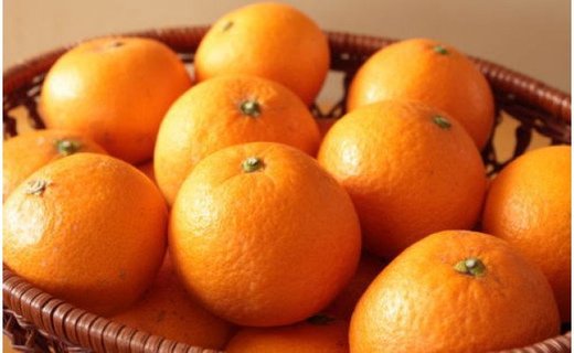 ［濃厚］有田産清見オレンジ約5kg（サイズおまかせ・青秀以上）★2026年2月下旬頃より順次発送［TM43］