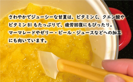 先行予約 訳あり 甘夏 10kg 7000円 樹齢25年 以上 みかん mikan 蜜柑 あまなつ 夏みかん グレープフルーツ だいだい 家庭用 事前 予約 受付 産地直送 国産 農家直送 糖度 期間