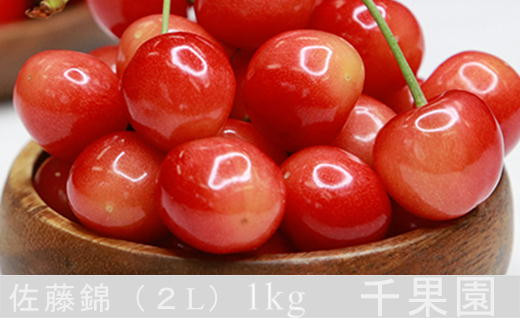 8-018-005　千果園のさくらんぼ 佐藤錦（2L）1kg