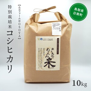 令和7年産 海と天地のめぐみ米（コシヒカリ） 白米10kg エコファームHOSOYA 鳥取県日南町