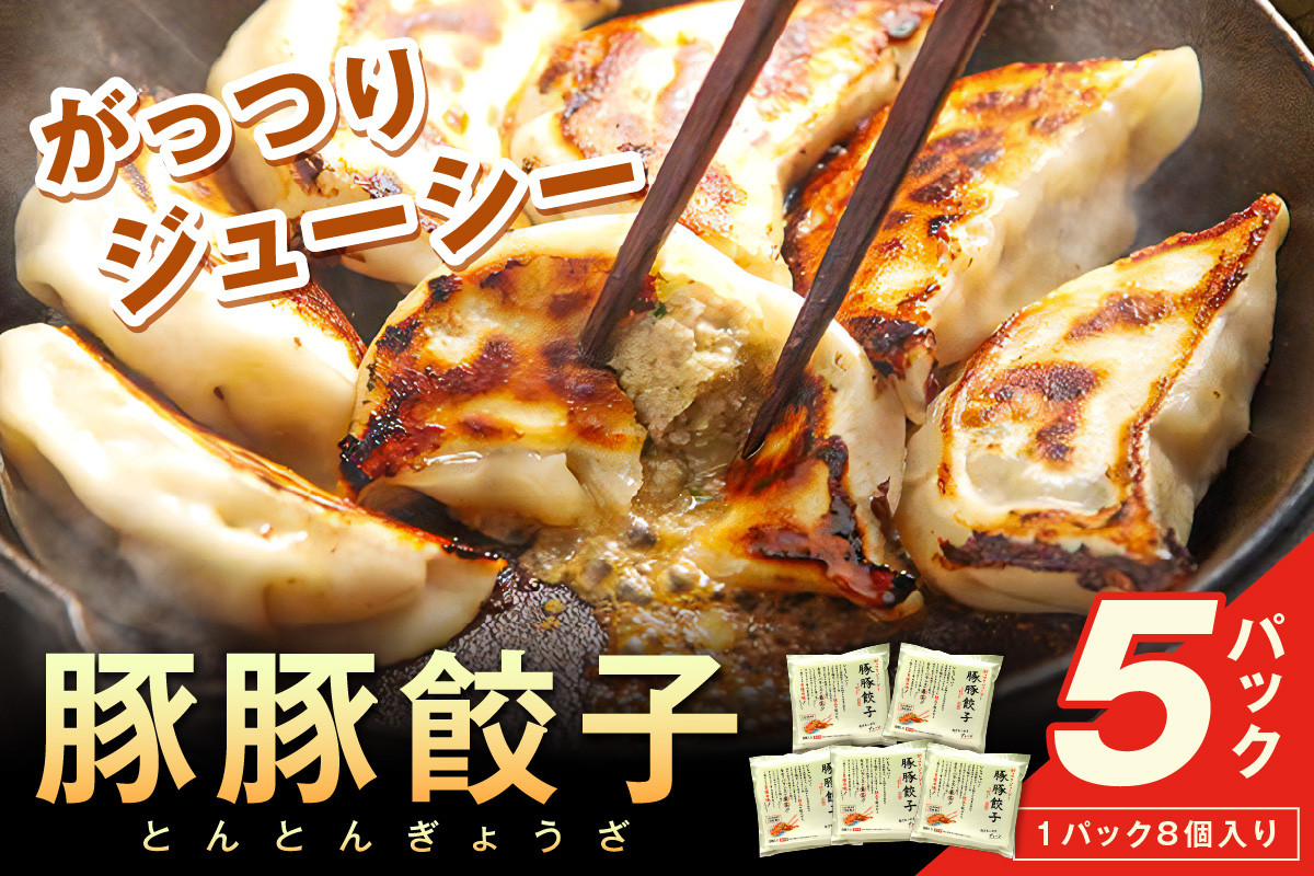 
            浜田生まれ浜田育ち がっつりジューシー「豚豚餃子」（5パック入り） 惣菜 餃子 ギョーザ 冷凍 簡単調理 焼くだけ おかず おつまみ 島根県 浜田市 【067_1939】
          