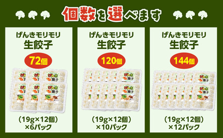 げんき モリモリ 生餃子 144個 K027-010_03 餃子 ギョーザ 肉 豚肉 国産 惣菜 総菜 野菜 中華 鍋 TV紹介 全国冷凍野菜アワード 金賞 受賞 加工品 ブロッコリー 冷凍 ビッグフ