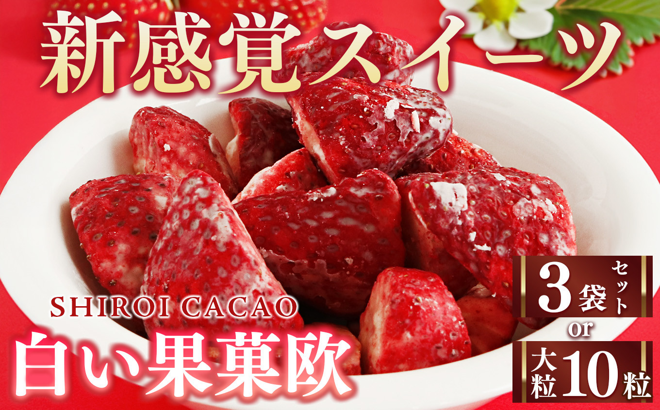 
            白い果菓欧 | お菓子 おかし オカシ フルーツ 果物 くだもの いちご イチゴ 苺 ストロベリー 奈良県 五條市 チョコレート スイーツ ギフト オシャレ スイーツ 洋菓子 バレンタイン ホワイトデー ギフト
          
