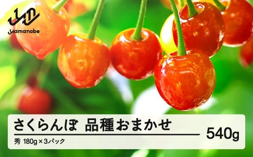 【先行予約】 さくらんぼ 品種おまかせ 秀品 約540g 令和8年産 2026年産 山形県産 フルーツ 果物 tf-saos540