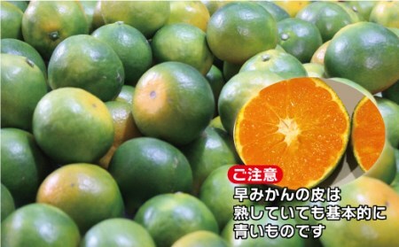 JAむなかたブランド姫の神「早味かん」5kg【JAほたるの里】_PA0887