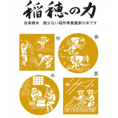 【令和8年産】秋田県産　稲穂の力　特別栽培米あきたこまち 　白米5kg×1袋　精米【配送不可地域：離島・沖縄県】