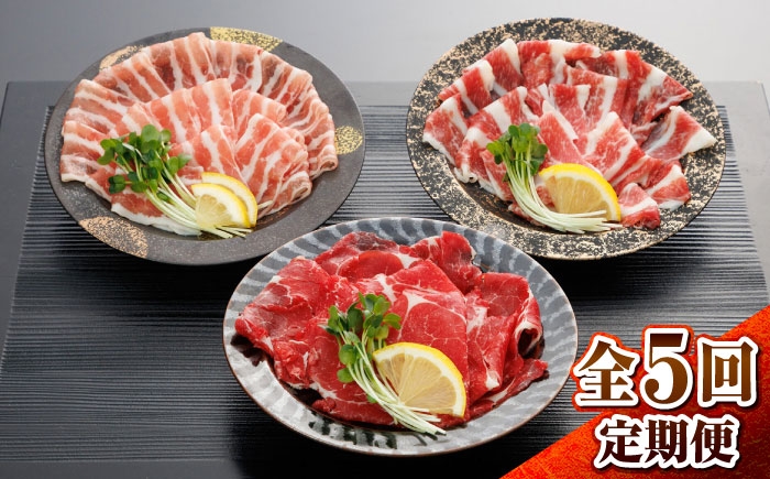 
                  【全5回定期便】新感覚!極薄スライス「花びら馬刺し」3種盛り300g(専用醤油付き) / 熊本馬刺し 馬刺 馬刺し ばさし バサシ 馬肉 冷凍 冷蔵 醤油付き 熊本 くまもと 菊陽町 こだわり 赤身馬刺し 【有限会社 桜屋】 [BHDB006]
                
