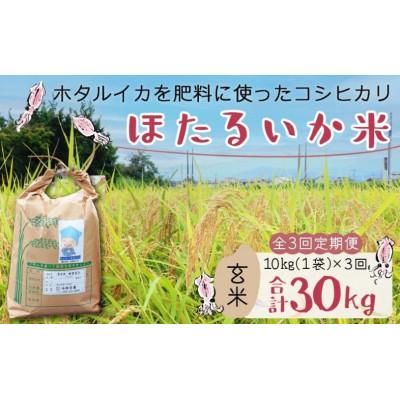 ふるさと納税 滑川市 【毎月定期便】ほたるいか米　玄米　10kg全3回
