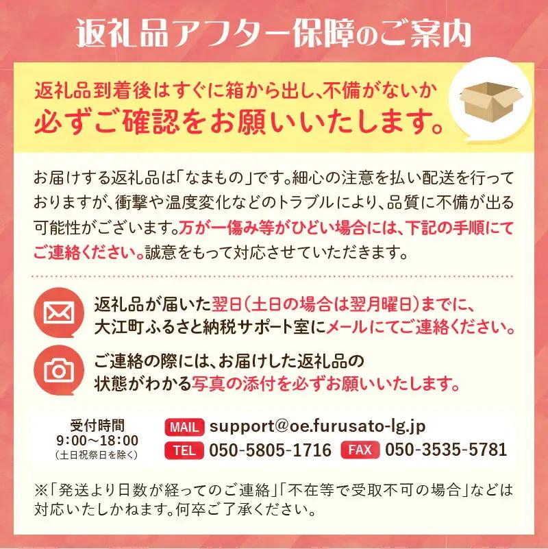《先行受付》山形県大江町産「樹上完熟 ラフランス」約3kg 特秀 3L～4L 7玉～9玉【2026年11月中旬頃～順次発送予定】 004-014