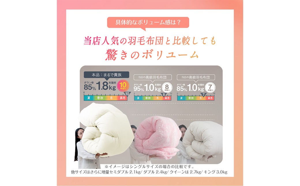 羽毛布団 クイーン 210cm×210cm 超超増量 2.7kg