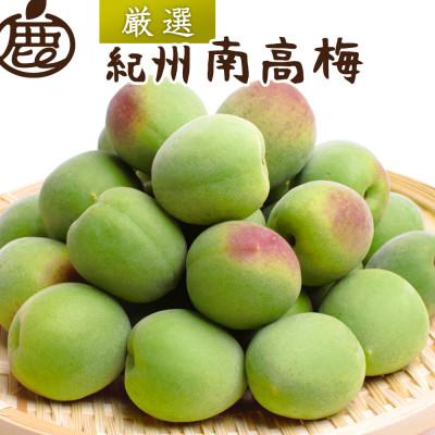ふるさと納税 九度山町 厳選 紀州南高梅(青梅)1kg+250g(傷み補償分)【梅干し・梅酒・梅ジュースに◎】