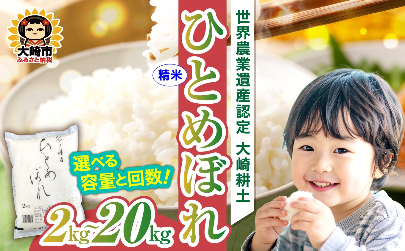 
                  《精米》令和7年 宮城県産 ひとめぼれ 2kg〜20kg 選べる容量と回数
                