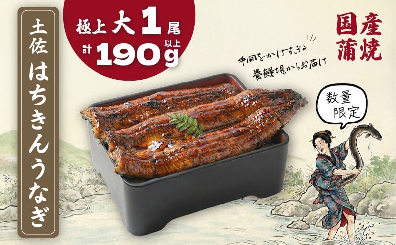 
            数量限定 国産 鰻 大 土佐はちきん うなぎ 蒲焼き 190g以上 | 蒲焼 無投薬 上 特上 肉厚 鰻 ウナギ かば焼き きざみ ひつまぶし 柔らかい ふっくら 極太 極上 生産者直送 限定 こだわり ギフト 冷凍 高知県 南国市
          