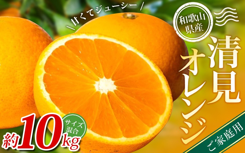 
            【家庭用】 森本農園の手選別 清見オレンジ 約10kg 和歌山県産 サイズ混合 【2026年2月上旬～5月中旬頃に順次発送】 きよみ 清見 柑橘 ご家庭用 期間限定 由良町 果物 フルーツ 和歌山県
          
